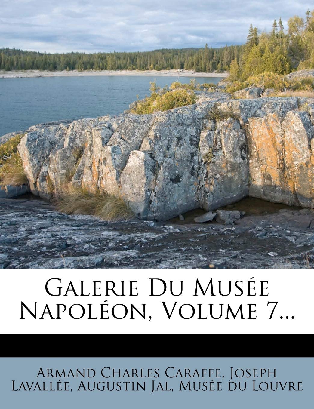 Galerie Du Musee Napoleon, Volume 7... Politics & History
