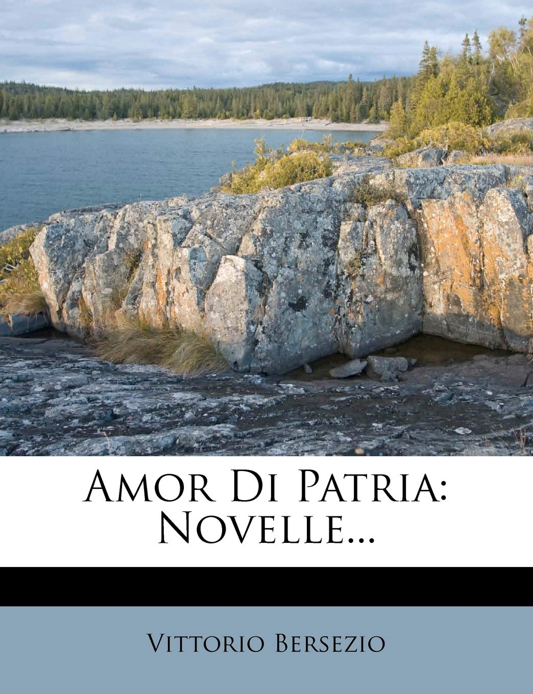 Amor Di Patria: Novelle... Politics & History