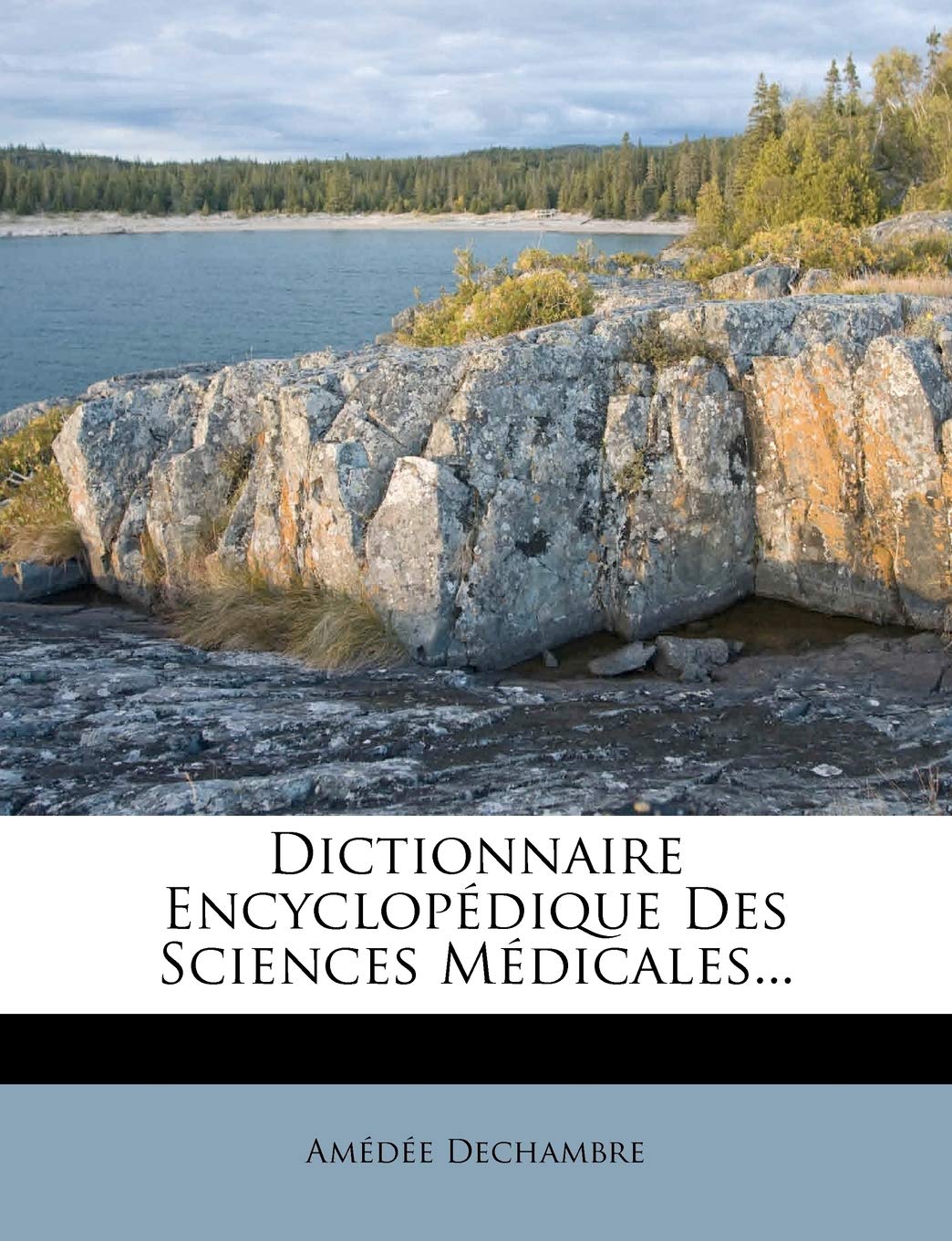 Dictionnaire Encyclopedique Des Sciences Medicales... book
