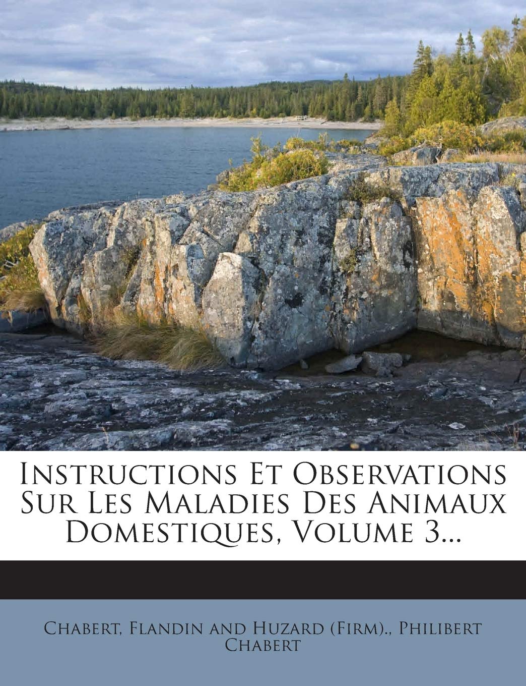 Instructions Et Observations Sur Les Maladies Des Animaux Domestiques, Volume 3... book