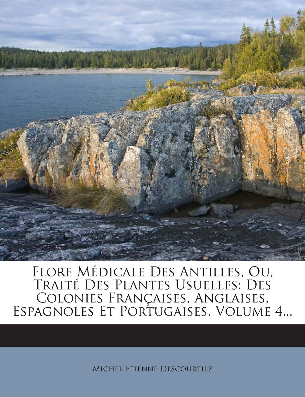 Flore Médicale Des Antilles, Ou, Traité Des Plantes Usuelles: Des Colonies Françaises, Anglaises, Espagnoles Et Portugaises, Volume 4... book