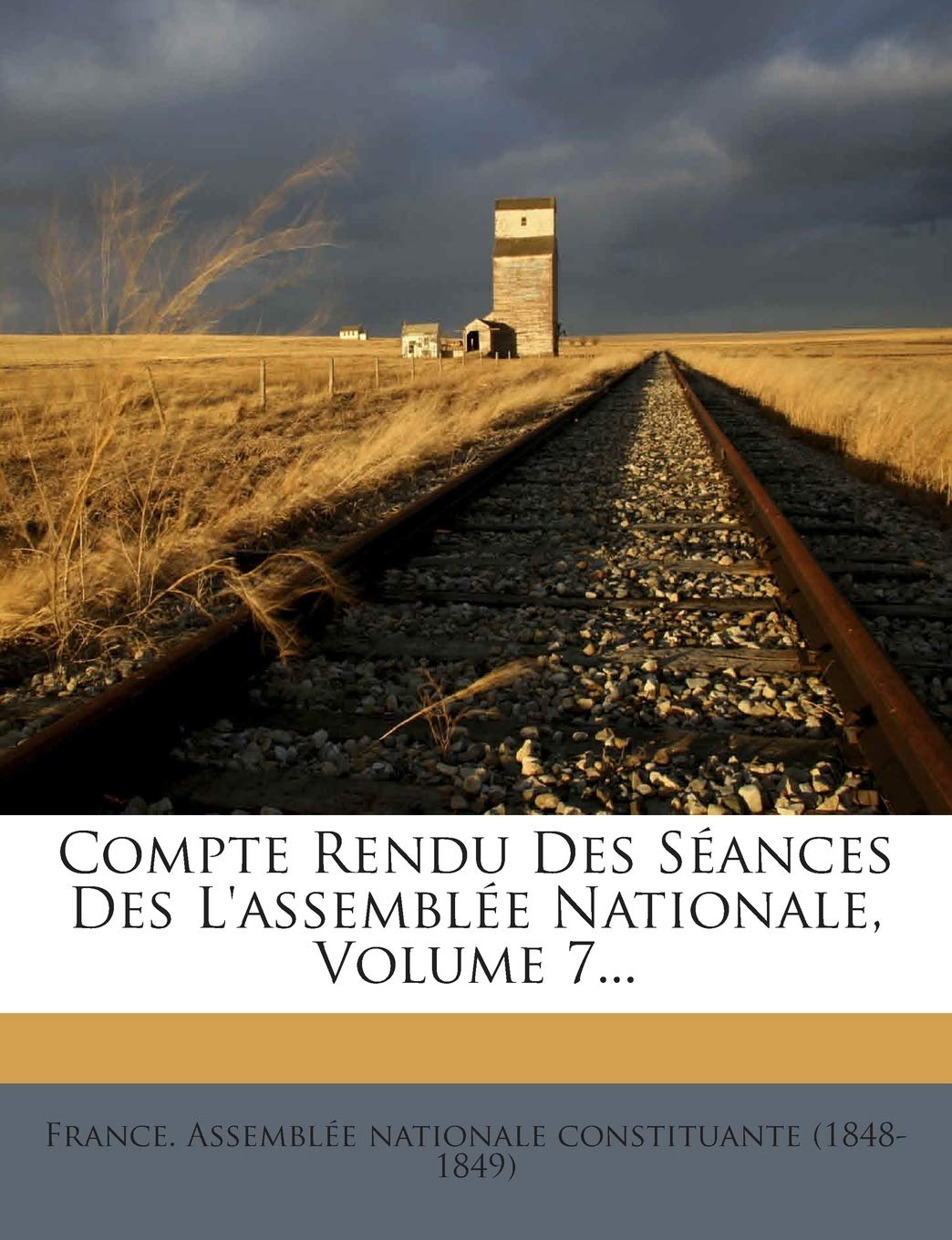 Compte Rendu Des Seances Des L'Assemblee Nationale, Volume 7... book