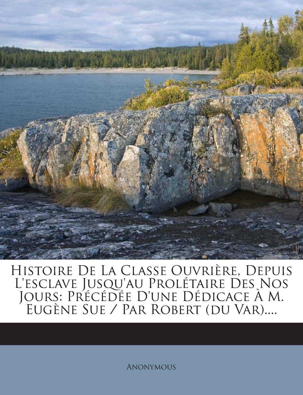 Histoire De La Classe Ouvrière, Depuis L'esclave Jusqu'au Prolétaire Des Nos Jours: Précédée D'une Dédicace À M. Eugène Sue / Par Robert (du Var).... book