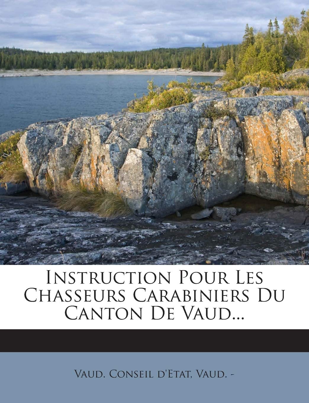 Instruction Pour Les Chasseurs Carabiniers Du Canton De Vaud... book