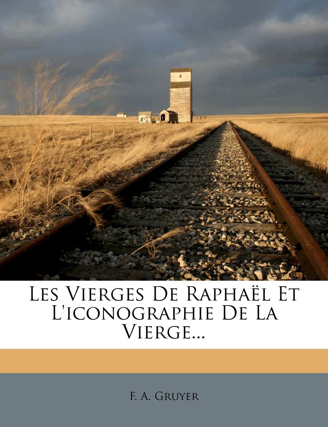 Les Vierges de Raphael Et L'Iconographie de La Vierge... book