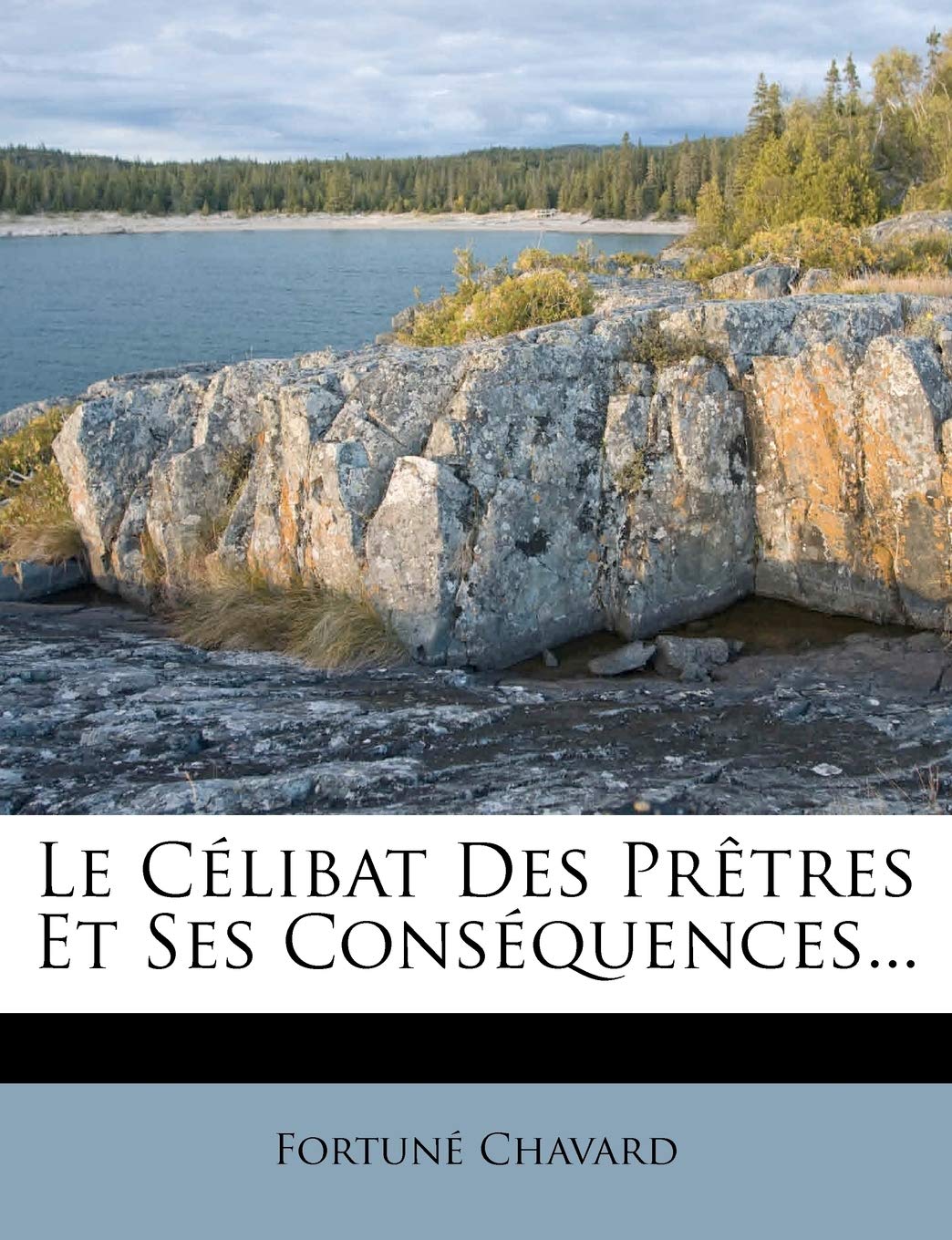 Le Celibat Des Pretres Et Ses Consequences... Politics & History