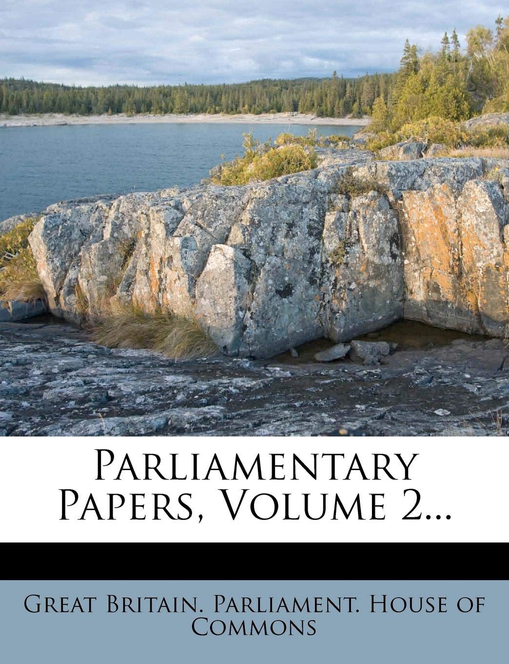 Parliamentary Papers, Volume 2... Politics & History
