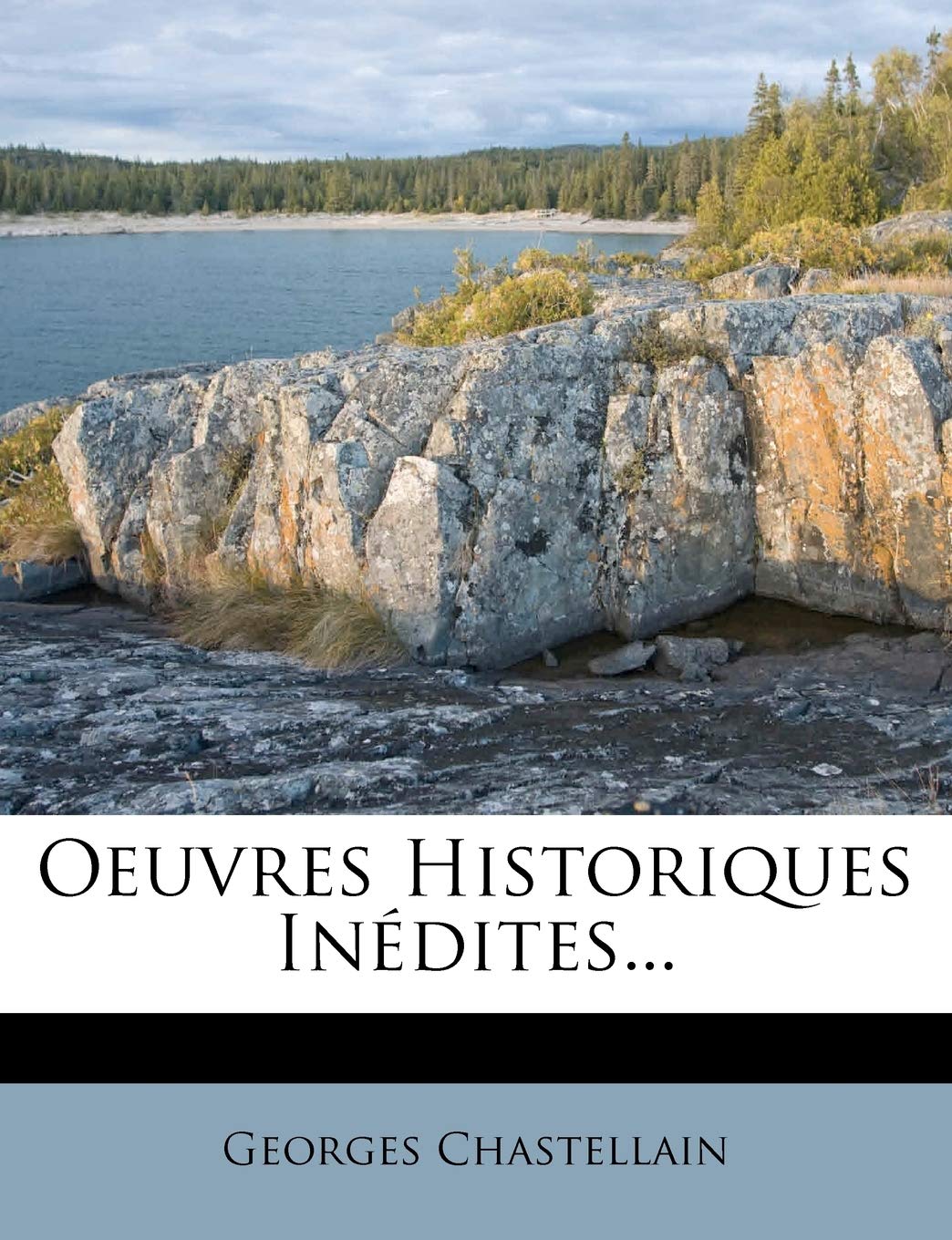 Oeuvres Historiques Inedites... book