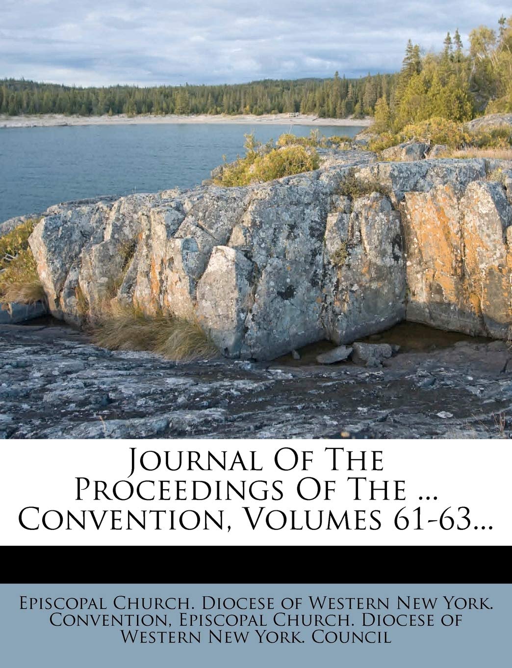 Journal of the Proceedings of the ... Convention, Volumes 61-63... Politics & History