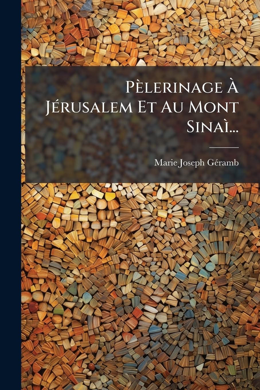 Pelerinage a Jerusalem Et Au Mont Sinai... book
