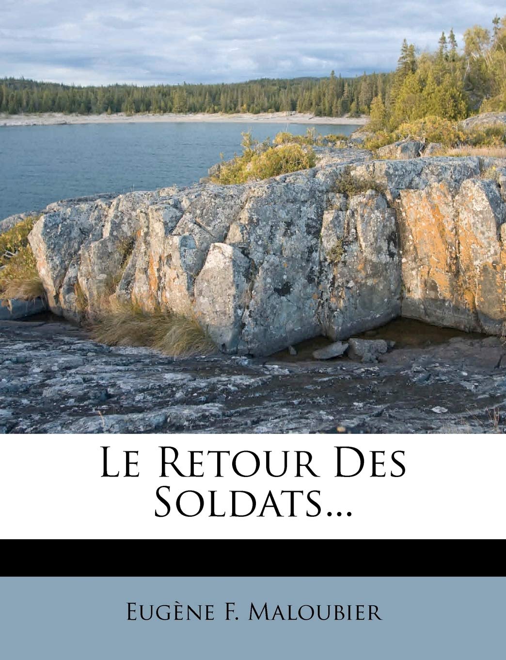 Le Retour Des Soldats... book