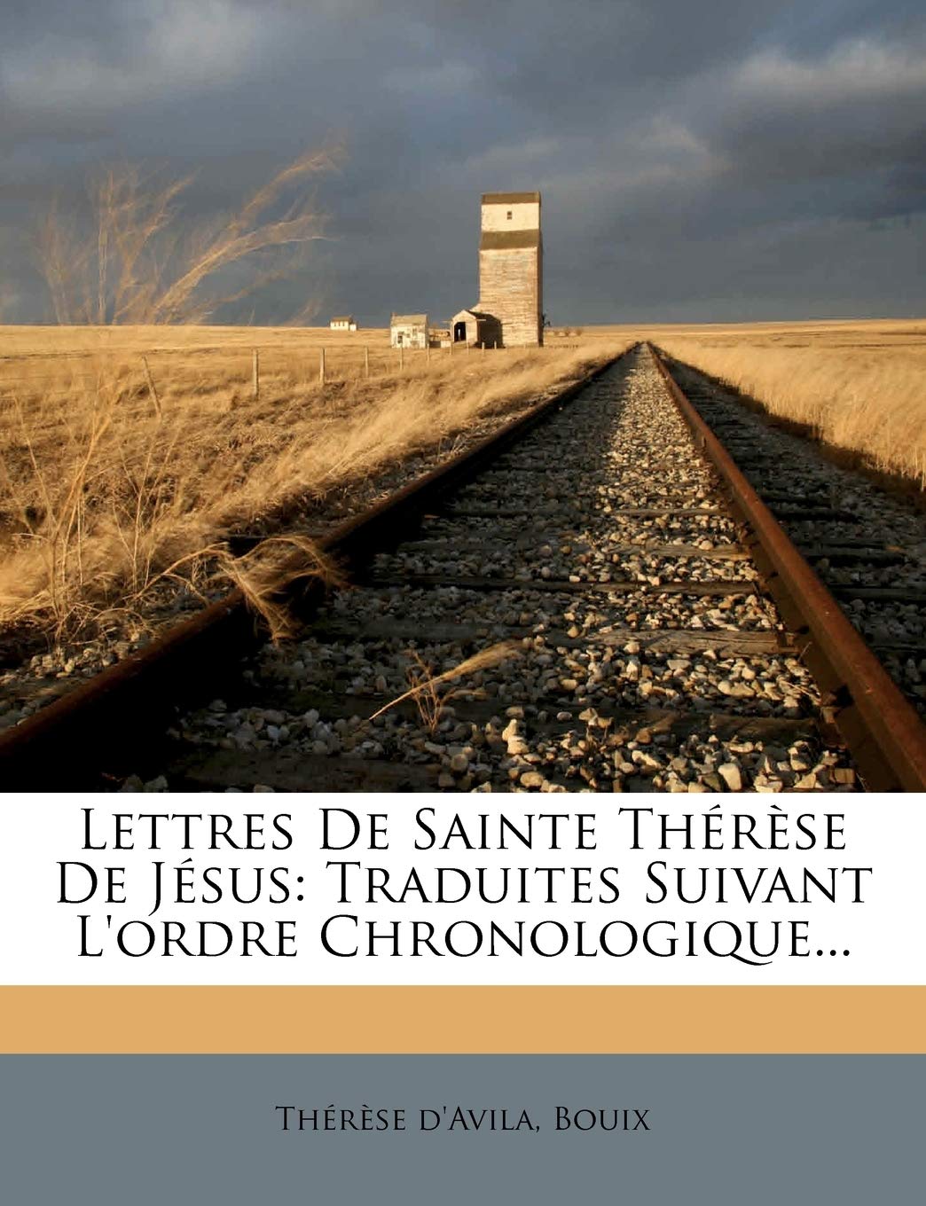 Lettres De Sainte Thérèse De Jésus: Traduites Suivant L'ordre Chronologique... Politics & History