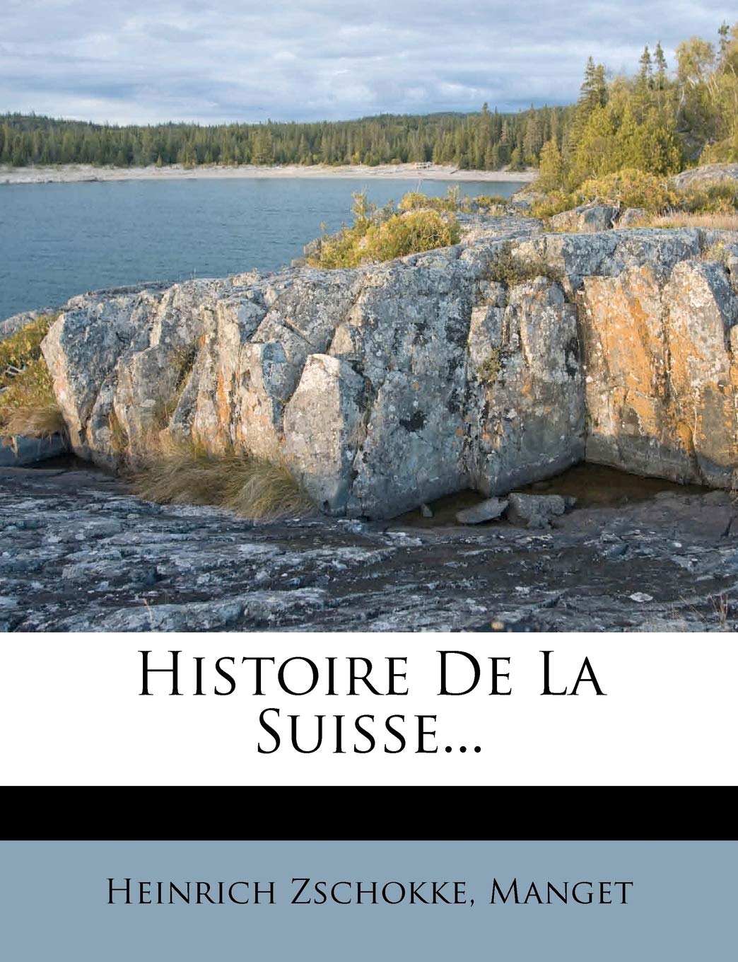 Histoire De La Suisse... book