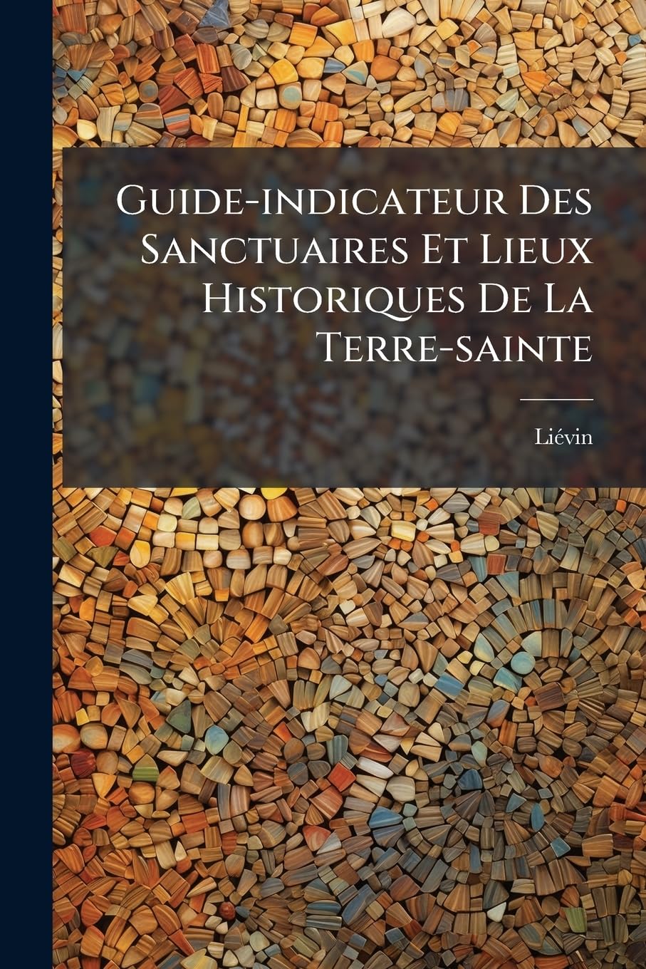 Guide-indicateur Des Sanctuaires Et Lieux Historiques De La Terre-sainte: Bethel. Sichem. Nazareth. Thabor. Tibériade. Capharnaüm. Carmel. St.-jean-d'acre. Tyr. Sidon Et Beyrouth... book