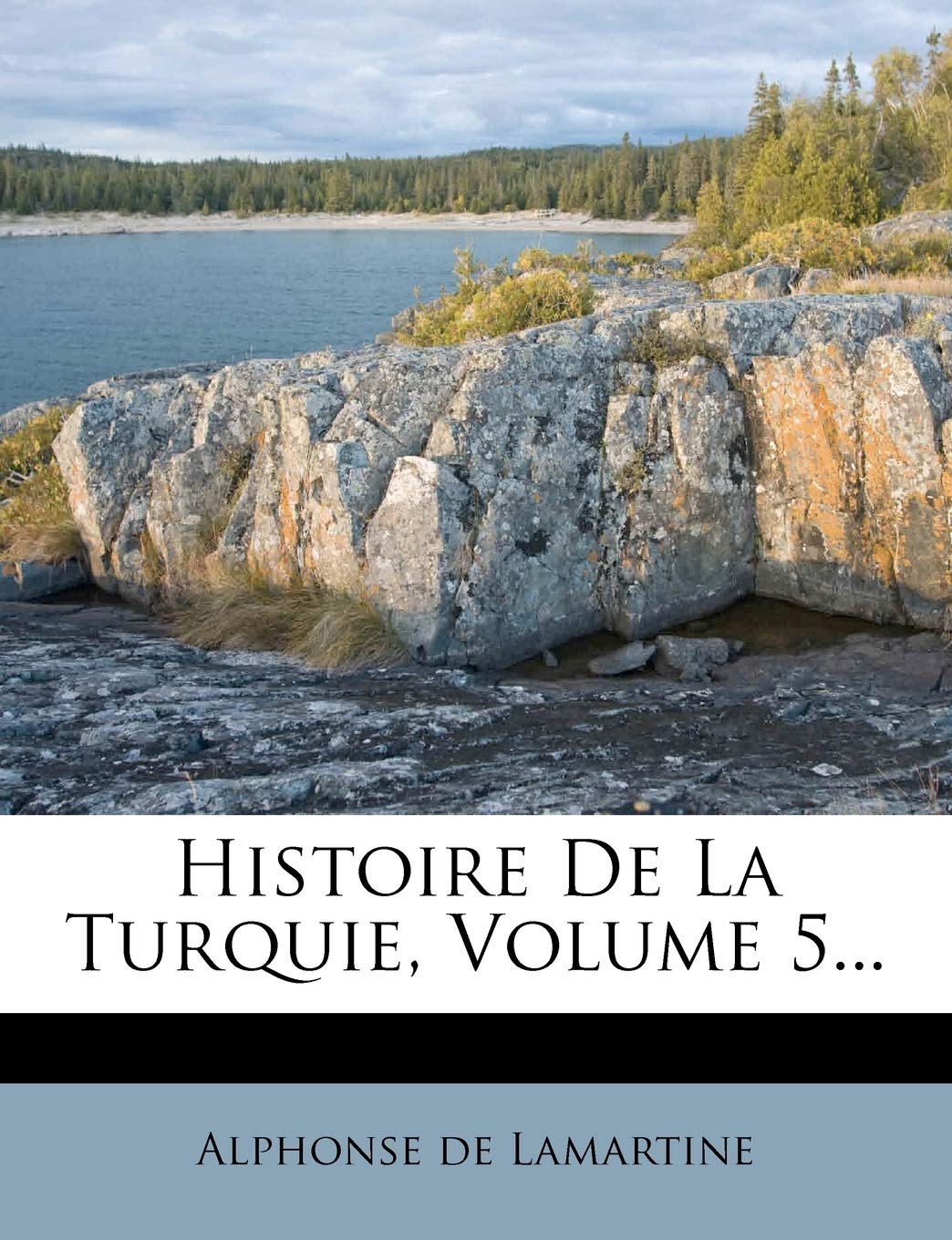 Histoire De La Turquie, Volume 5... book