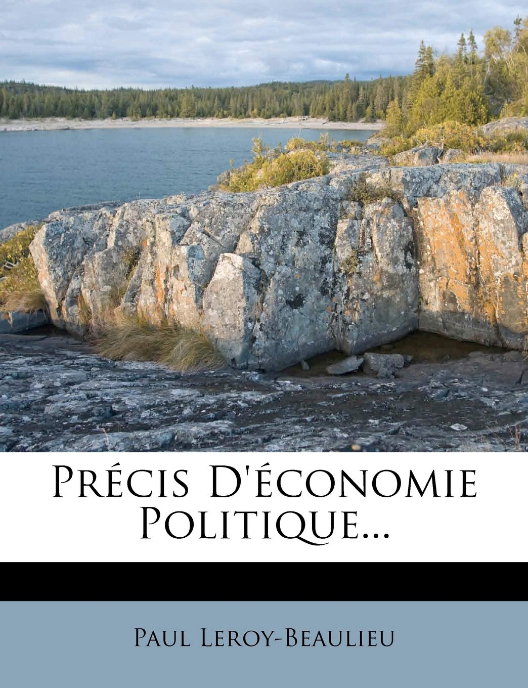 Précis D'économie Politique... book