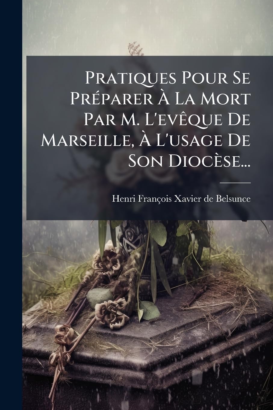 Pratiques Pour Se Preparer a la Mort Par M. L'Eveque de Marseille, A L'Usage de Son Diocese... book