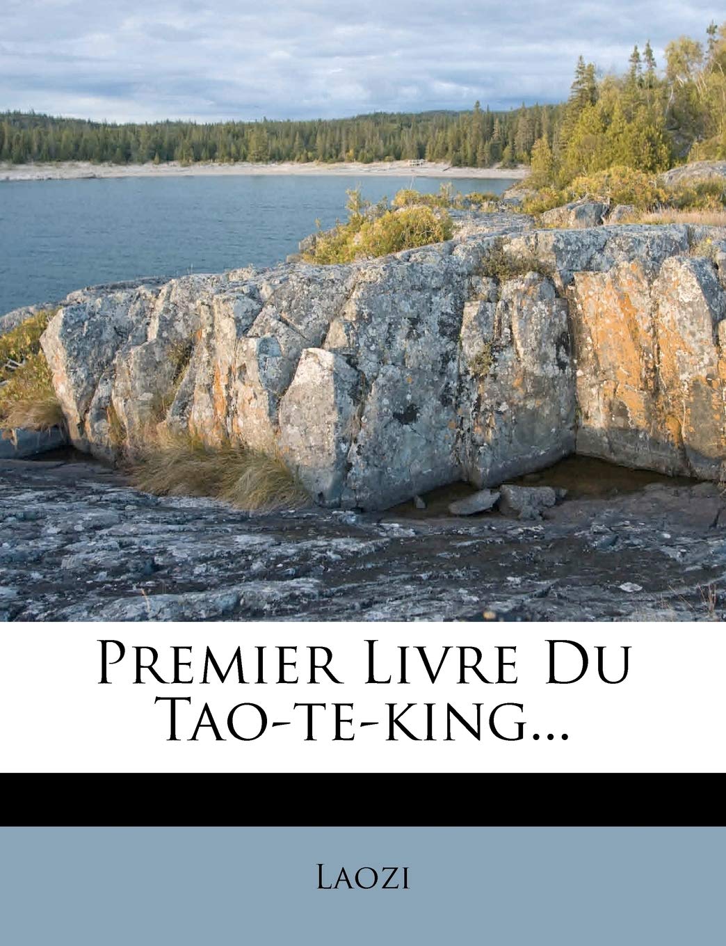Premier Livre Du Tao-te-king... book