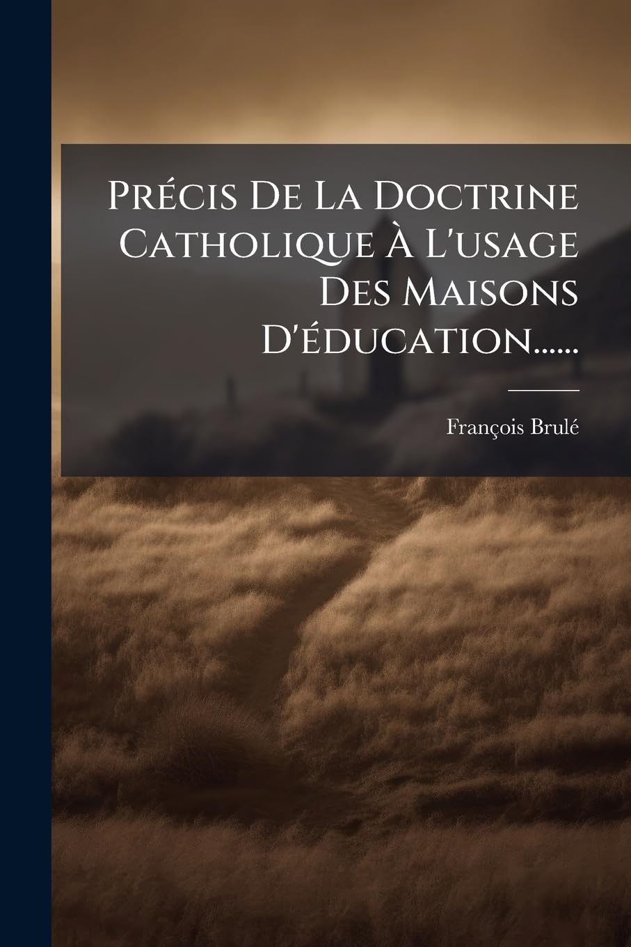 Précis De La Doctrine Catholique À L'usage Des Maisons D'éducation...... book