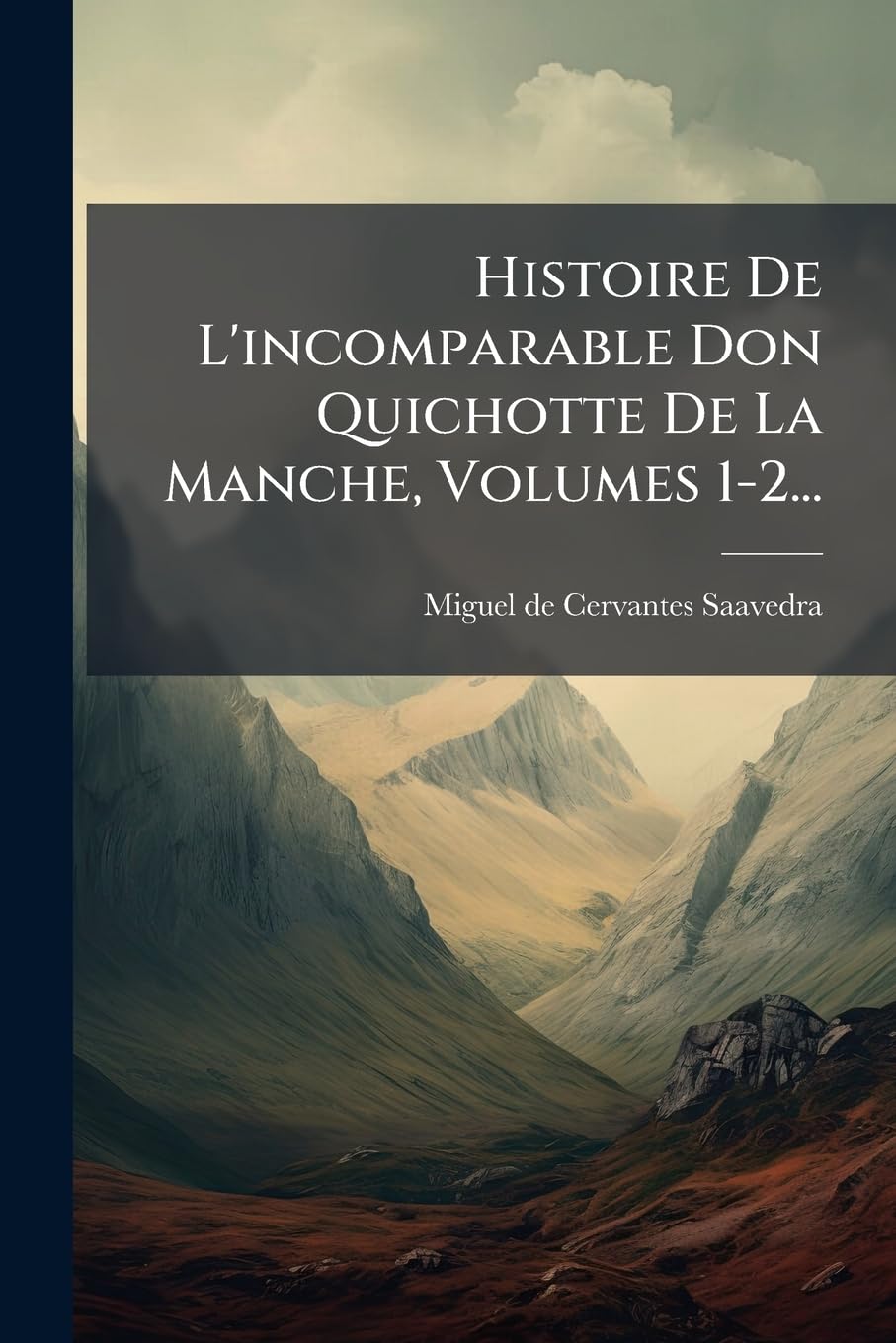 Histoire de L'Incomparable Don Quichotte de La Manche, Volumes 1-2... book