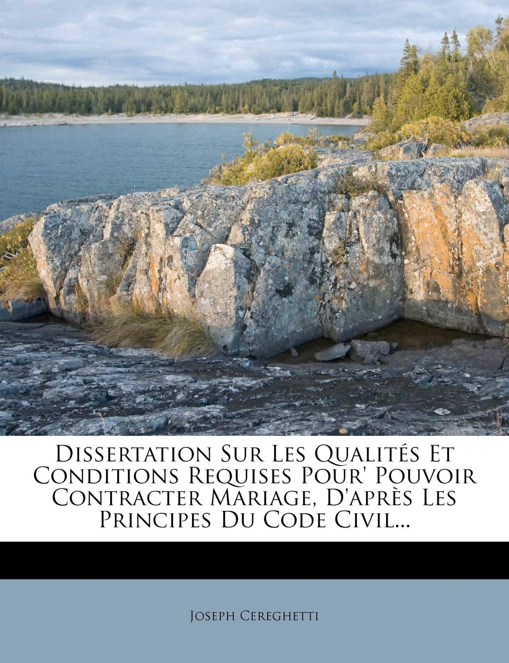 Dissertation Sur Les Qualités Et Conditions Requises Pour' Pouvoir Contracter Mariage, D'après Les Principes Du Code Civil... book