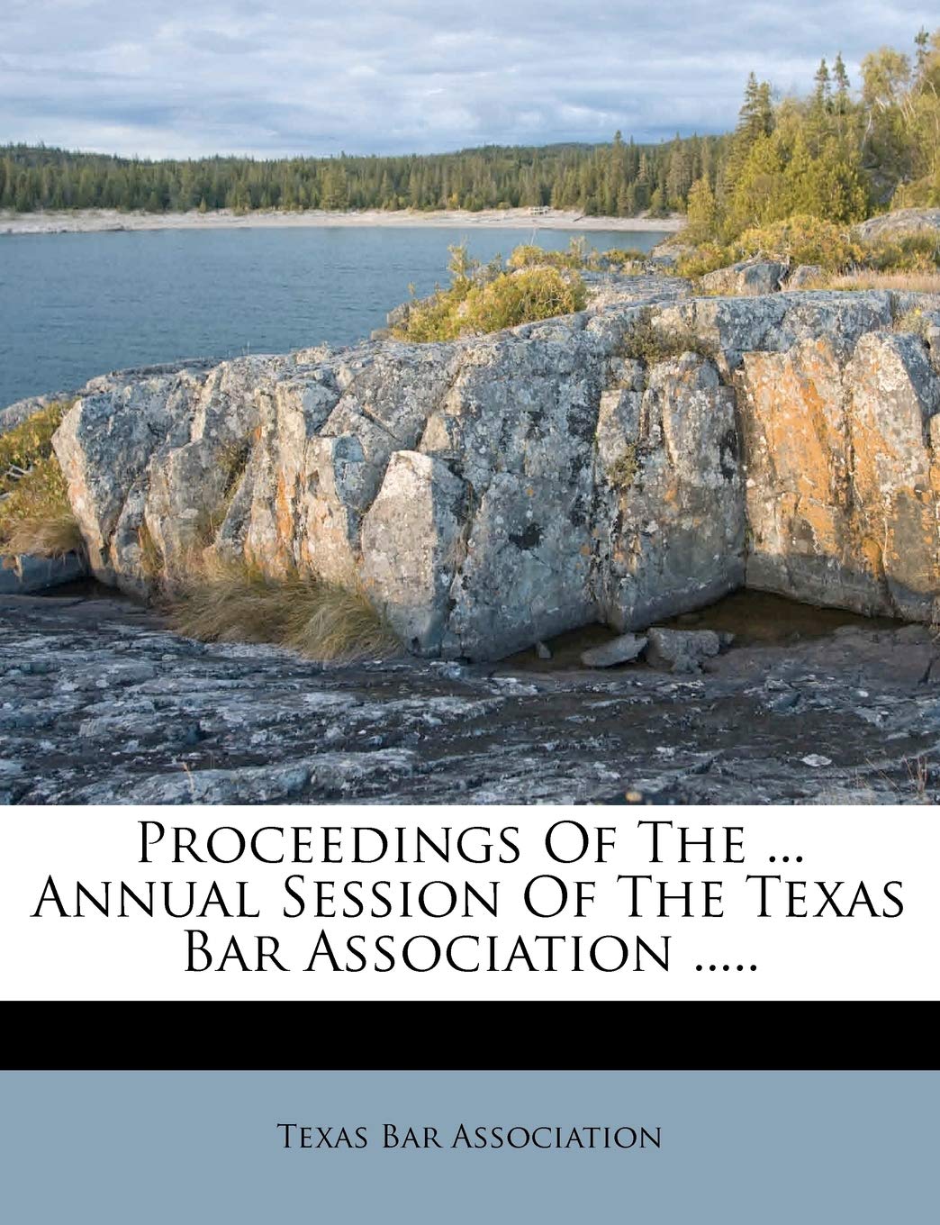Proceedings of the ... Annual Session of the Texas Bar Association ..... Politics & History