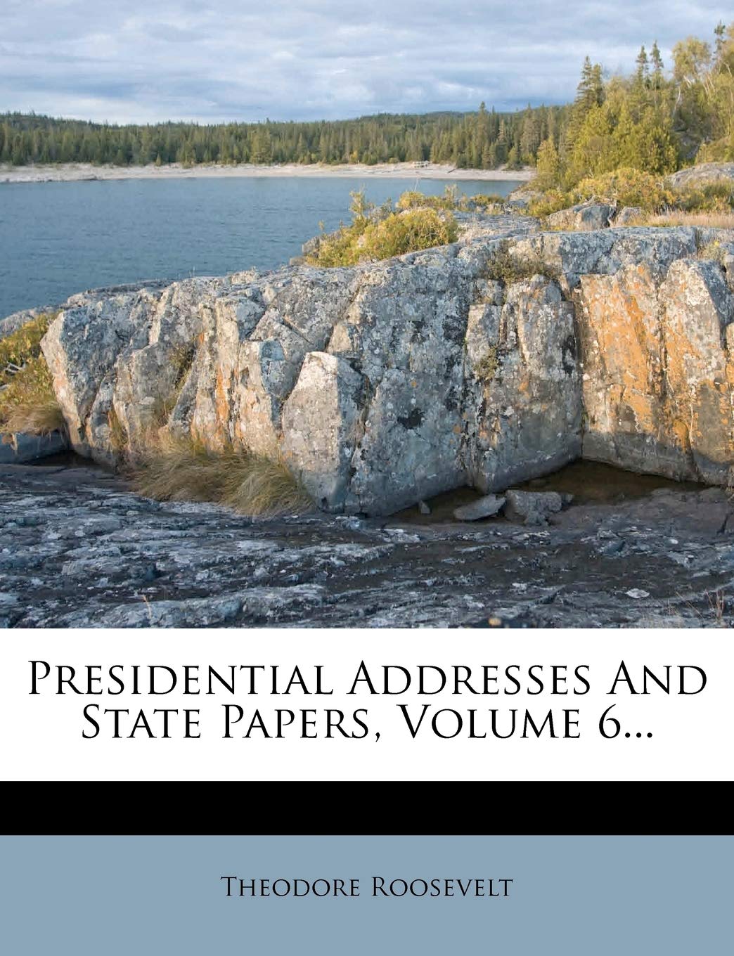 Presidential Addresses and State Papers, Volume 6... Politics & History