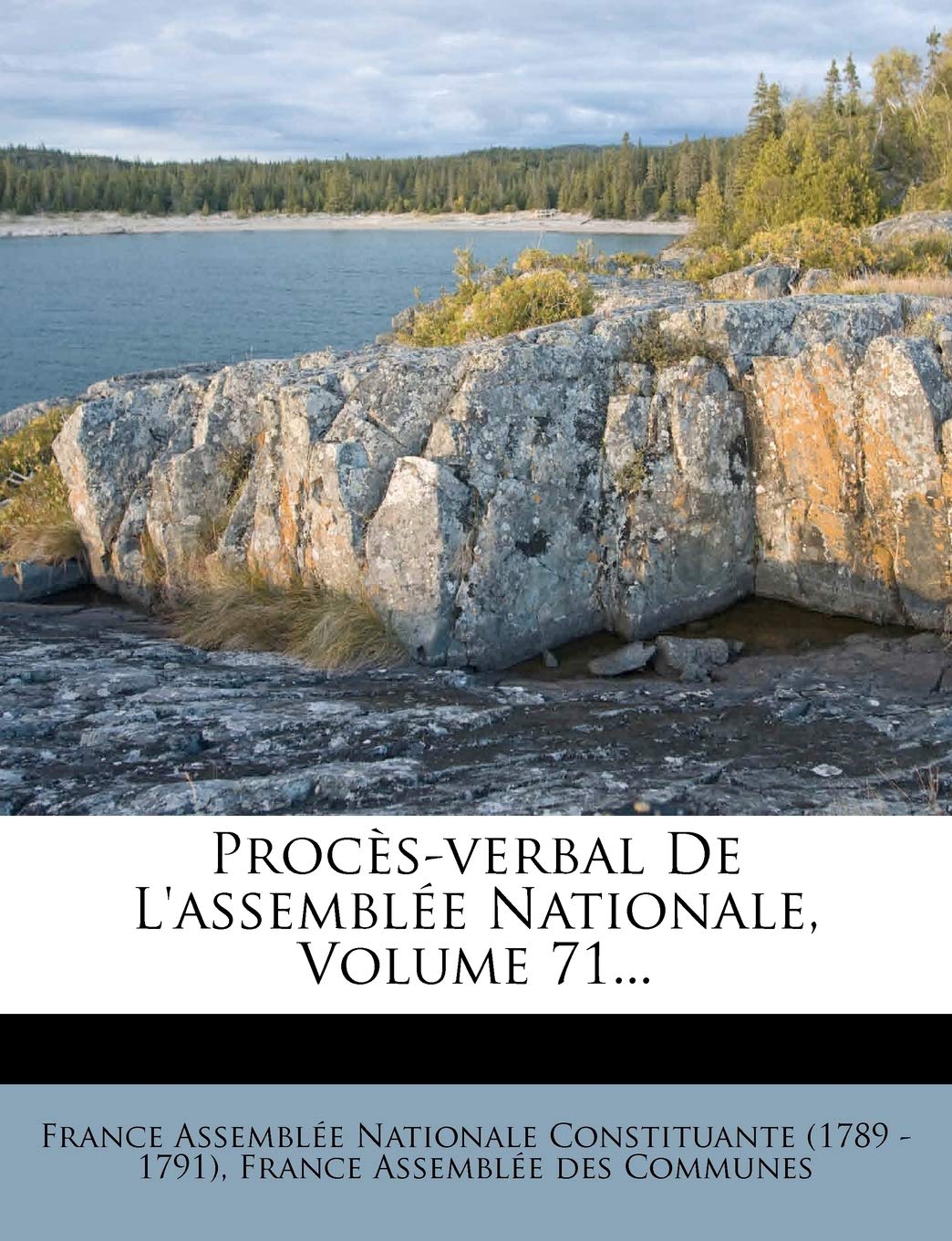 Procès-verbal De L'assemblée Nationale, Volume 71... book