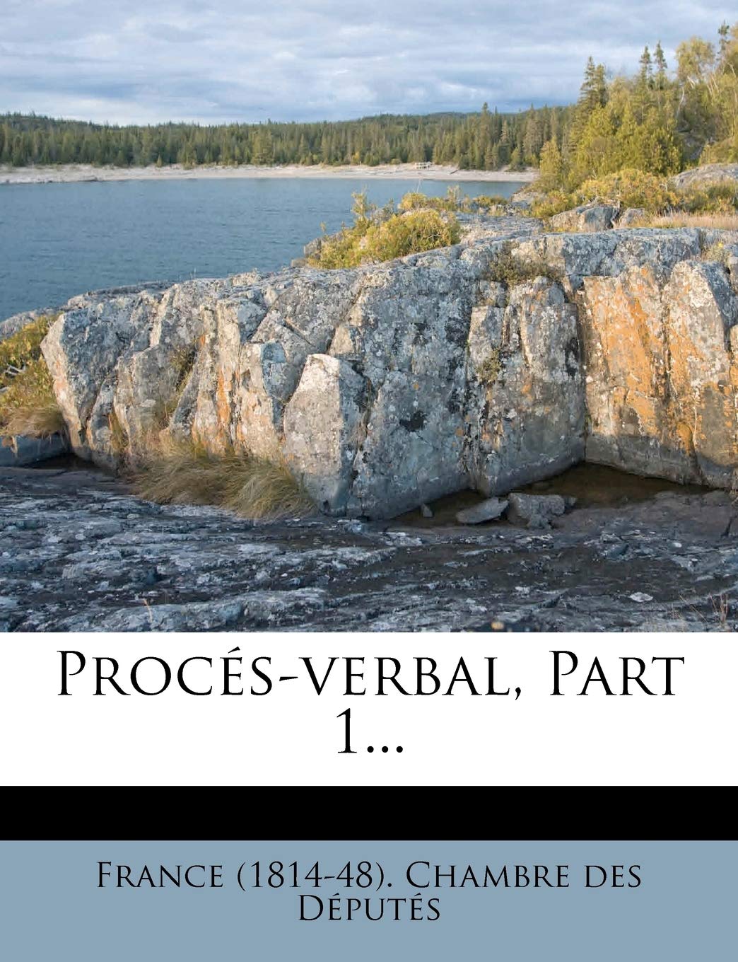 Proces-Verbal, Part 1... book