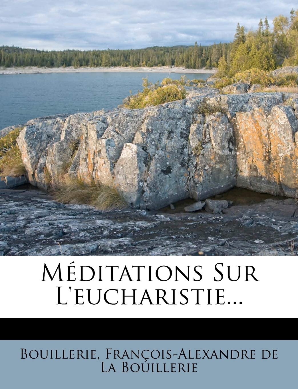 Meditations Sur L'Eucharistie... book