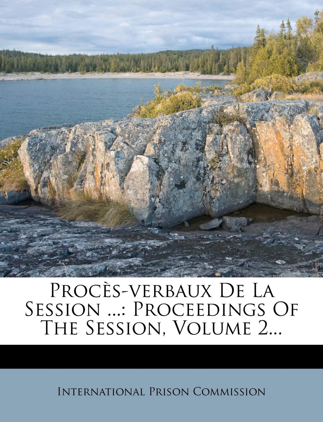 Procès-Verbaux de la Session ...: Proceedings of the Session, Volume 2... book