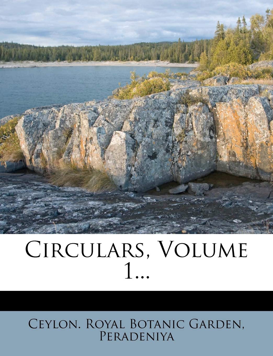 Circulars, Volume 1... Politics & History