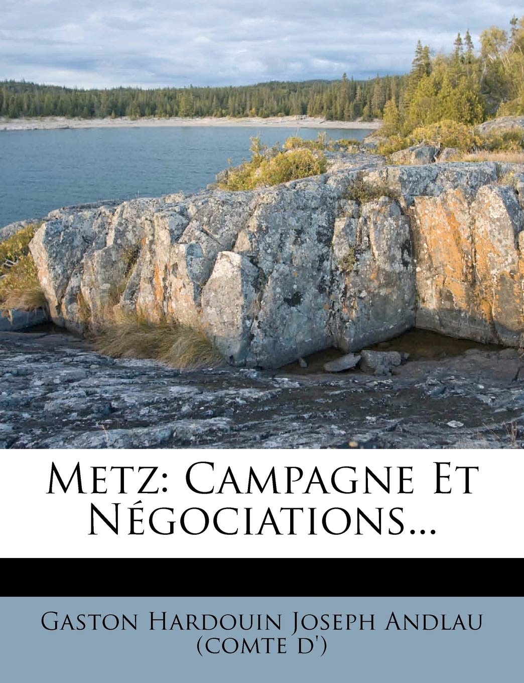 Metz: Campagne Et Négociations... book