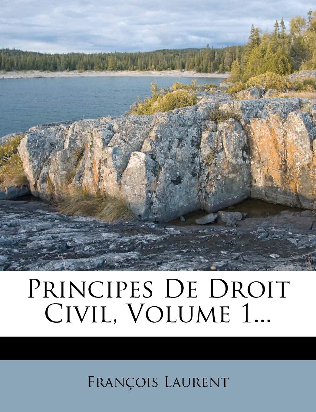 Principes De Droit Civil, Volume 1... book
