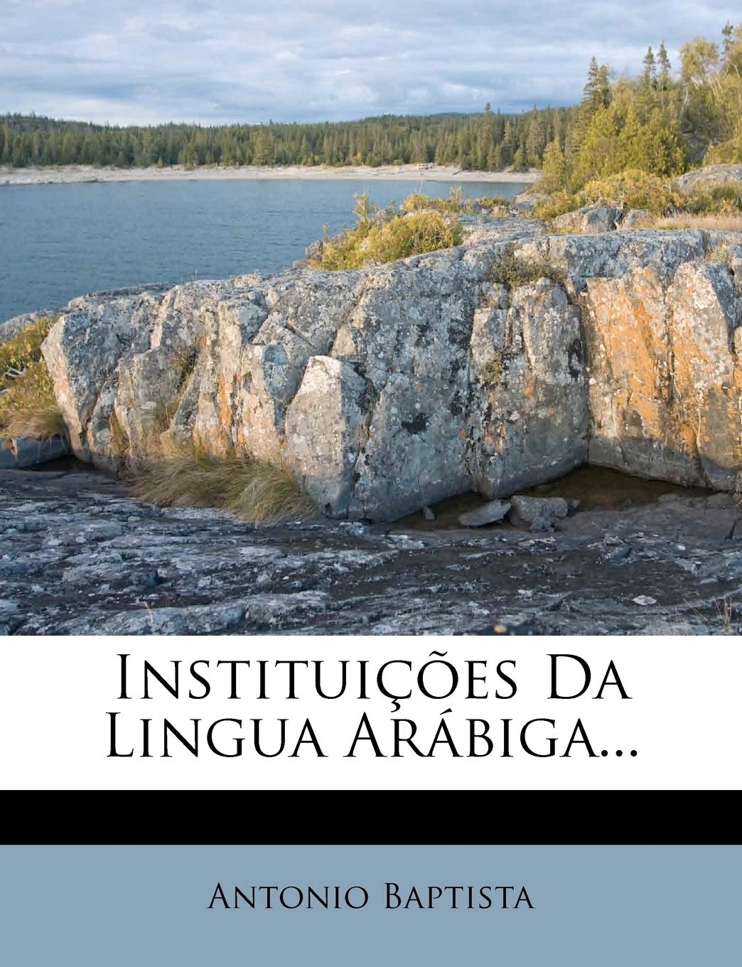 Instituicoes Da Lingua Arabiga... Politics & History