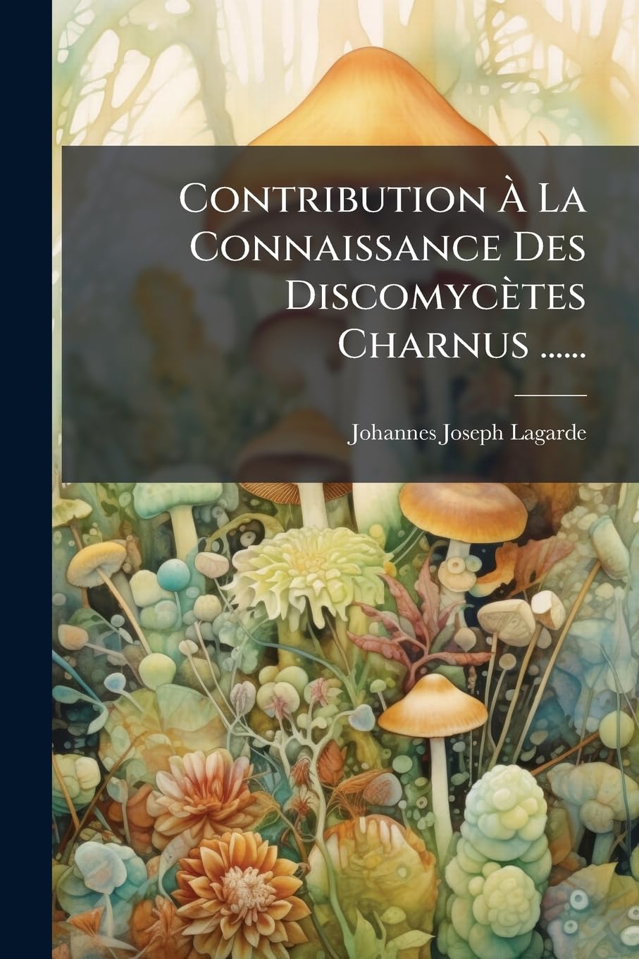 Contribution À La Connaissance Des Discomycètes Charnus ...... book