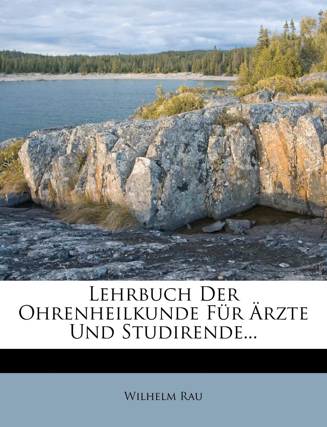 Lehrbuch Der Ohrenheilkunde Fur Arzte Und Studirende... Politics & History