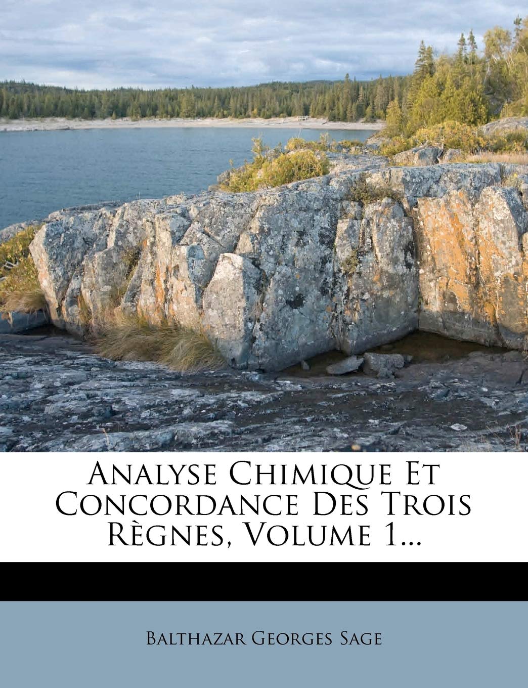 Analyse Chimique Et Concordance Des Trois Règnes, Volume 1... book