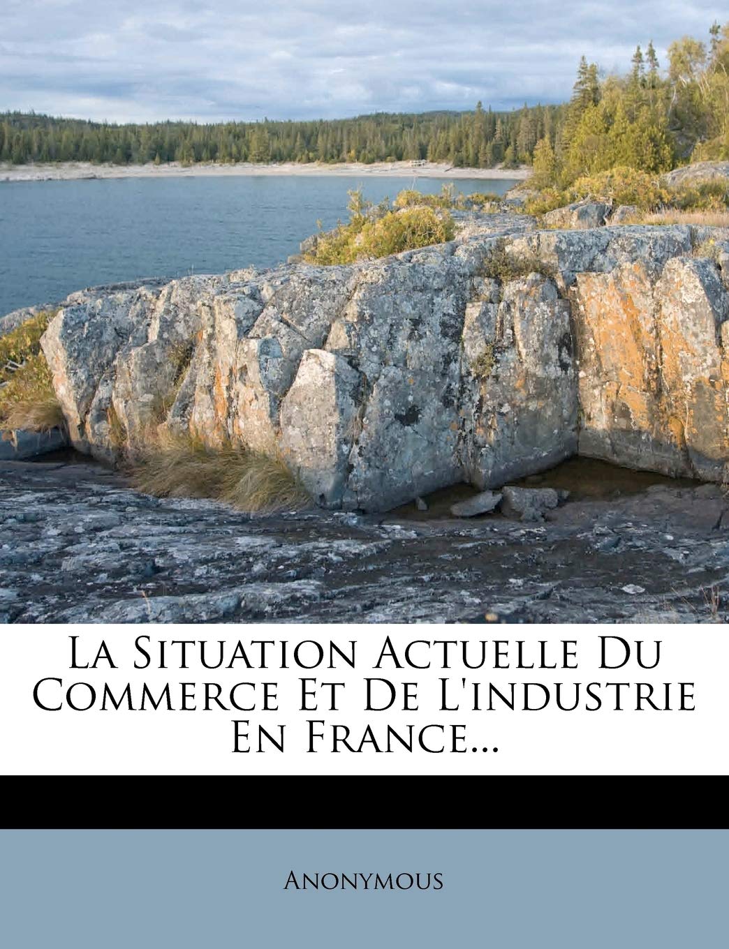 La Situation Actuelle Du Commerce Et De L'industrie En France... book