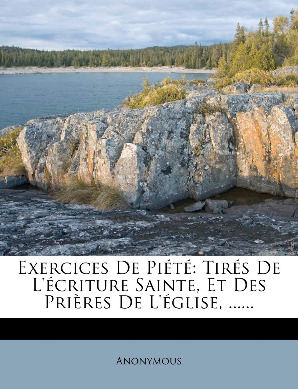 Exercices De Piété: Tirés De L'écriture Sainte, Et Des Prières De L'église, ...... book