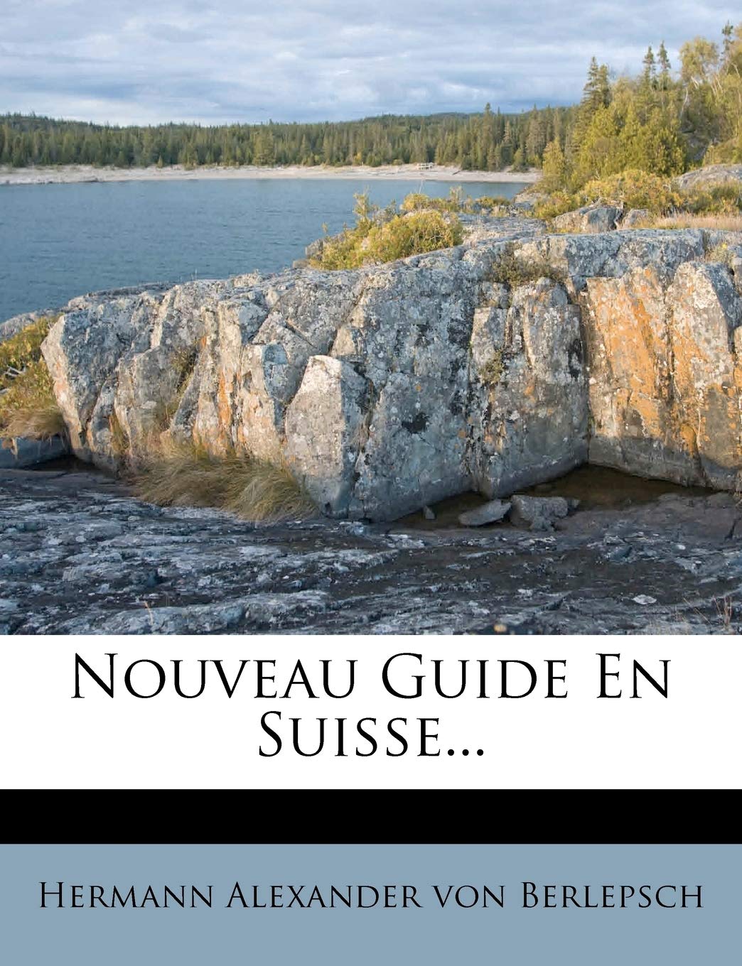 Nouveau Guide En Suisse... book