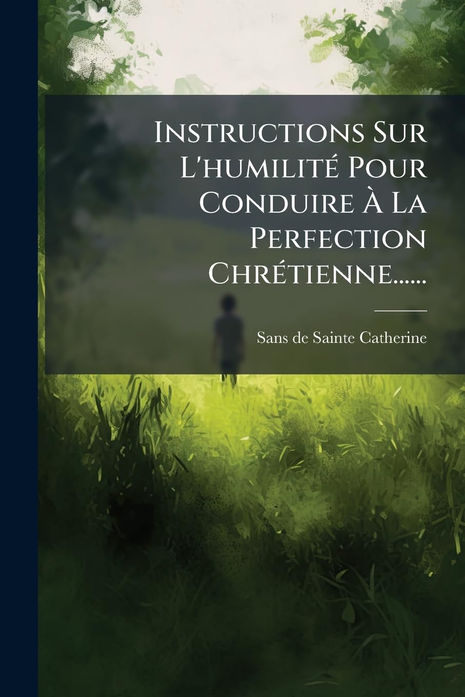 Instructions Sur L'humilité Pour Conduire À La Perfection Chrétienne...... book