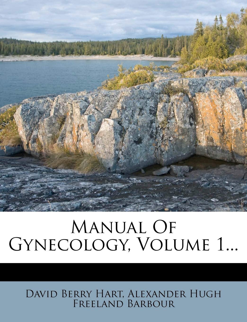 Manual of Gynecology, Volume 1... Politics & History