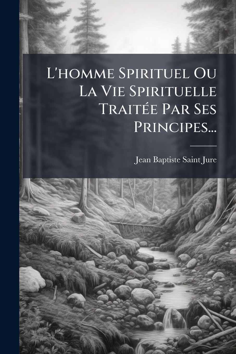 L'homme Spirituel Ou La Vie Spirituelle Traitée Par Ses Principes... book