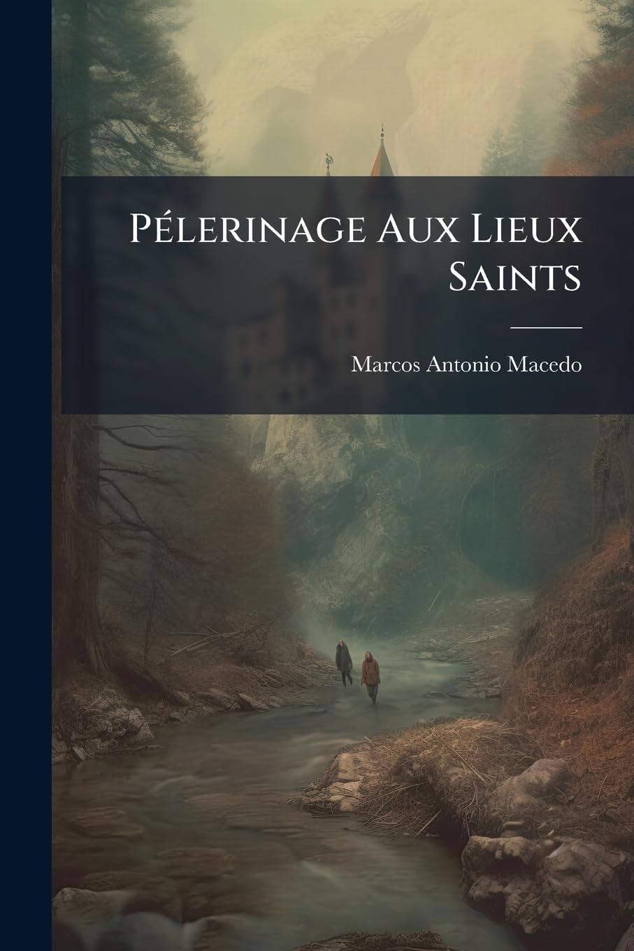 Pélerinage Aux Lieux Saints: Suivi D'une Excursion Dans La Basse Egypte, En Syrie Et À Constantinople... book