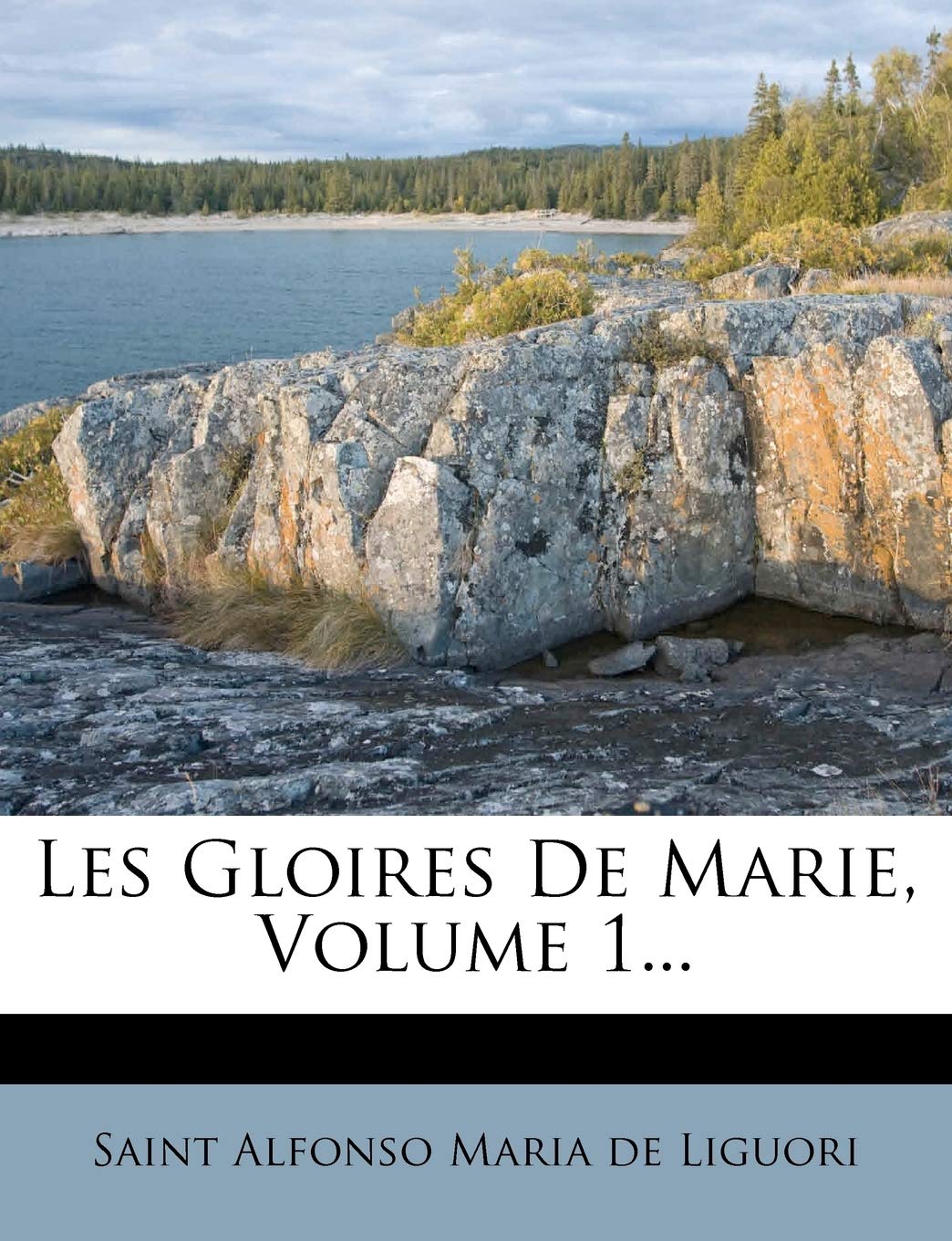 Les Gloires de Marie, Volume 1... book