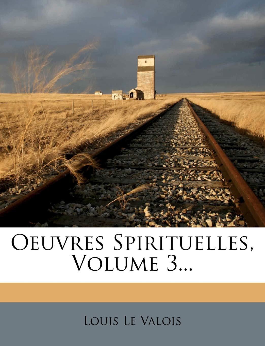 Oeuvres Spirituelles, Volume 3... book