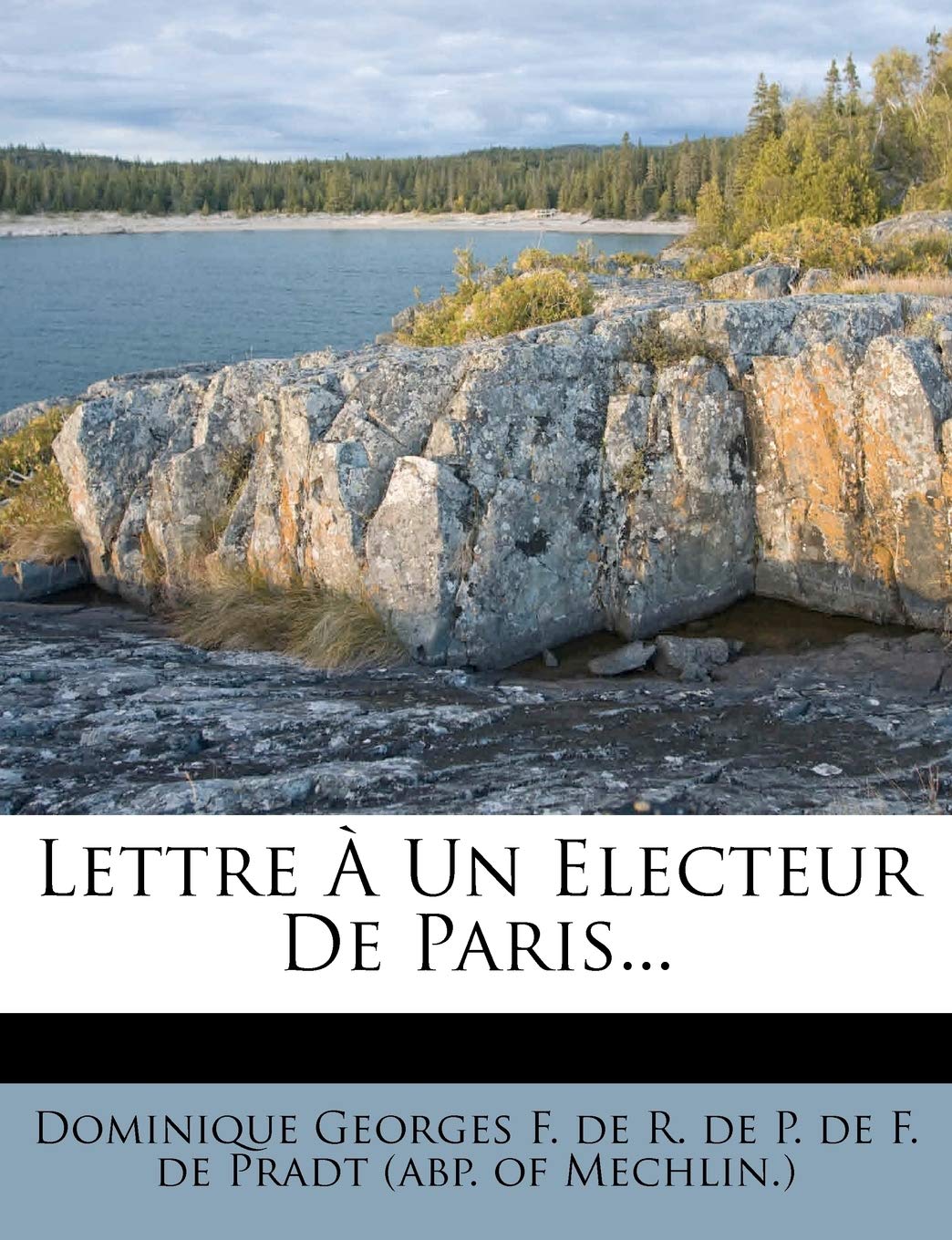 Lettre À Un Electeur de Paris... book