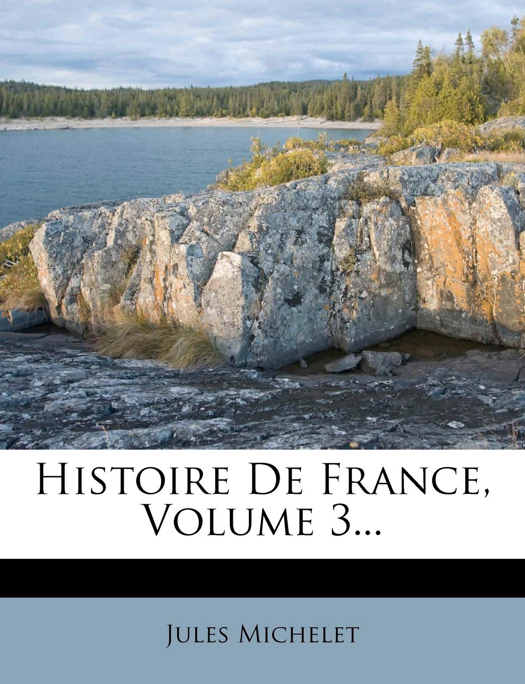 Histoire De France, Volume 3... Politics & History