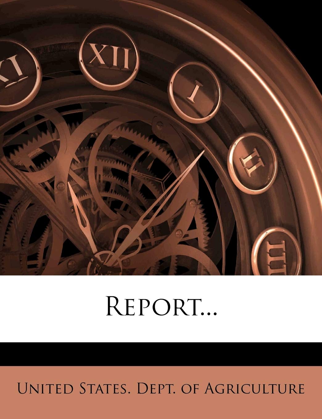 Report... Politics & History